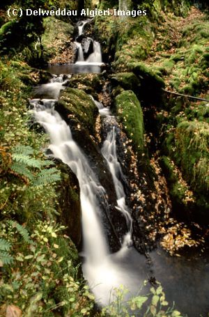 Photographs - Afon Gorddinan