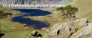 Photographs - Llyn Idwal