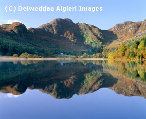 Photographs - Llyn Crafnant