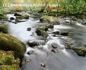Photographs - Afon Llugwy