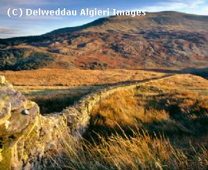 Photographs - Moel Siabod
