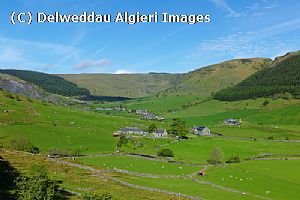 Photographs - Cwm Penmachno