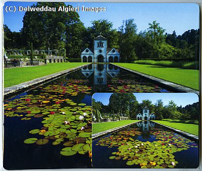 Placemat/Coaster sets - Bodnant Garden Pin Mill