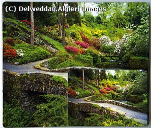 Placemat/Coaster sets - Bodnant Garden The Dell -