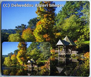 Placemat/Coaster sets - Bodnant Garden Skating Pond