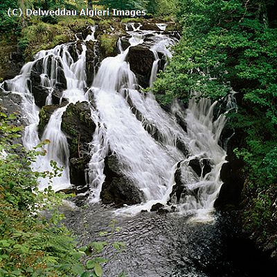 Photographs - Swallow Falls
