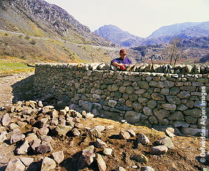 Photographs - Dry Stone walling Nant Ffrancon