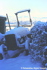 Photographs - No Work Today