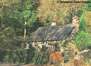 Photographs - Ty Hyll - The Ugly House