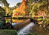 Gardd Bodnant Garden 2026 A4 Calendar LAST FEW - November
