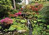 Gardd Bodnant Garden 2026 A4 Calendar LAST FEW - May