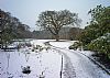 Gardd Bodnant Garden 2026 A4 Calendar LAST FEW - February